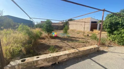 House in Albox photo 3