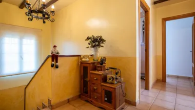 Chalet in Elx - Elche photo 20