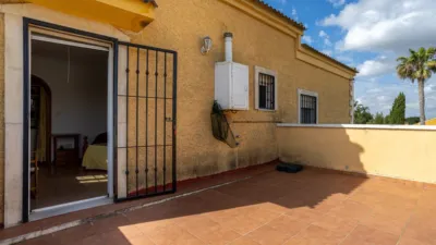 Chalet in Elx - Elche photo 24
