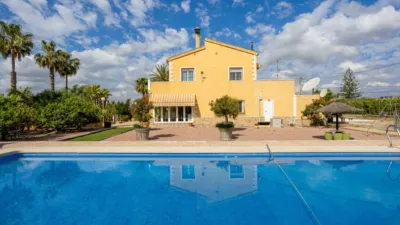 Chalet in Elx - Elche photo 41