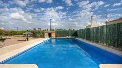 Chalet in Elx - Elche photo 42