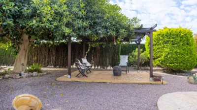 Chalet in Elx - Elche photo 44