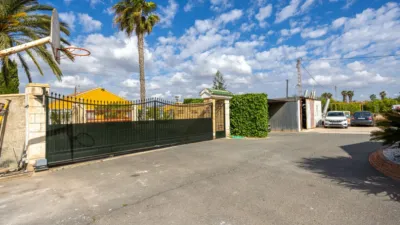 Chalet in Elx - Elche photo 47