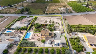 Chalet in Elx - Elche photo 49