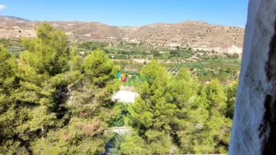 House in Albanchez photo 45