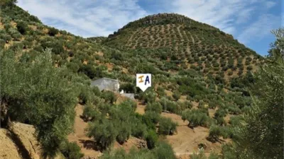 Rustic Finca in Fuensanta de Martos photo 9