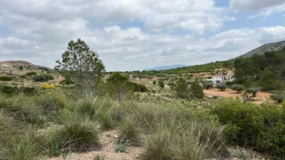 Terreno en venta en El Fondó de Les Neus - Hondón de Las Nieves - Vista 2