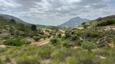 Terreno en venta en El Fondó de Les Neus - Hondón de Las Nieves - Vista 3