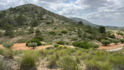 Terreno en venta en El Fondó de Les Neus - Hondón de Las Nieves - Vista 5