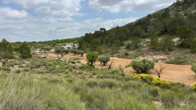 Terreno en venta en El Fondó de Les Neus - Hondón de Las Nieves - Més