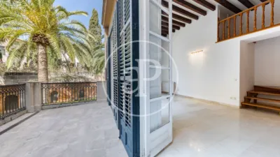 Apartment in Sant Jaume photo 41