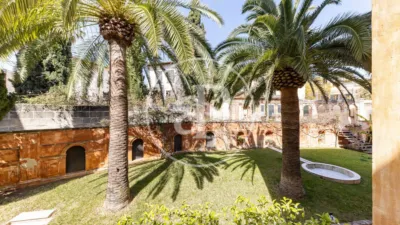 Apartment in Sant Jaume photo 52