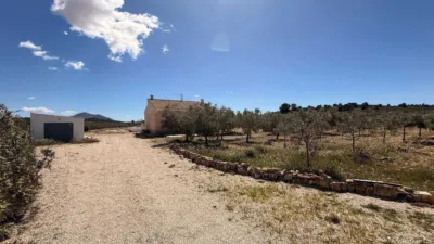 Chalet in El Pinós - Pinoso photo 7
