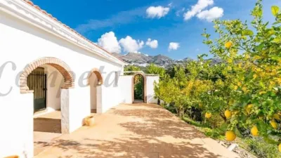 House in Árchez photo 3