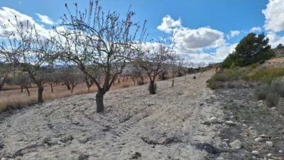 Terreno en venta en El Pinós - Pinoso - Vista 2