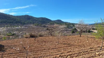 Terreno en venta en El Pinós - Pinoso - Vista 3