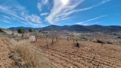 Terreno en venta en El Pinós - Pinoso - Vista 4