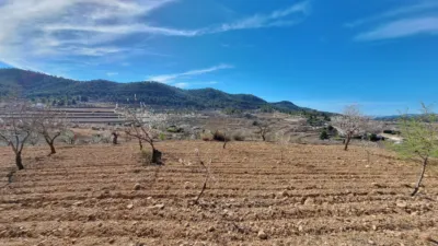Terreno en venta en El Pinós - Pinoso - Vista 5