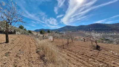 Terreno en venta en El Pinós - Pinoso - Más
