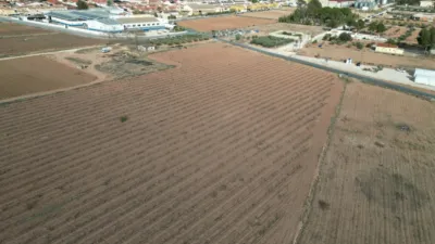 Terreno en venta en El Pinós - Pinoso - Vista 4