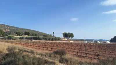 Terreno en venta en El Pinós - Pinoso - Vista 5