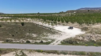 Terreno en venta en El Pinós - Pinoso - Vista 2