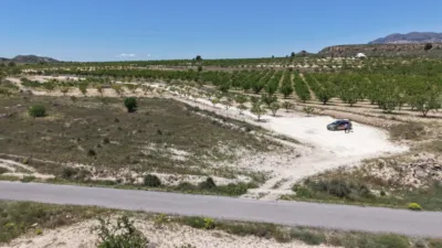 Terreno en venta en El Pinós - Pinoso - Vista 3