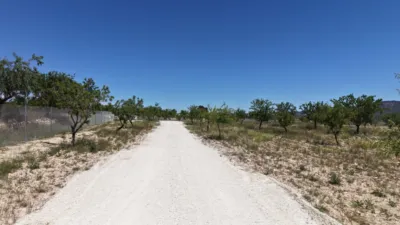 Terreno en venta en El Pinós - Pinoso - Vista 4