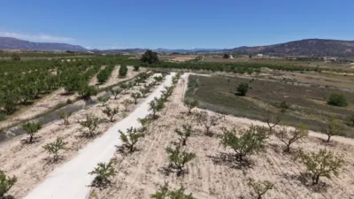 Terreno en venta en El Pinós - Pinoso - Vista 5