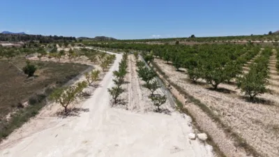 Terreno en venta en El Pinós - Pinoso - Más