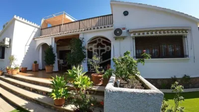 Pis – Orihuela, Mil Palmeras - Vista 2