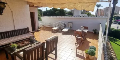 Pis – Orihuela, Mil Palmeras - Vista 3