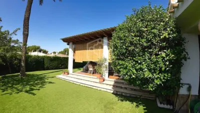 Pis – Orihuela, Mil Palmeras - Vista 4