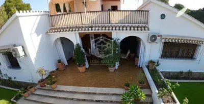 Pis – Orihuela, Mil Palmeras - Vista 5