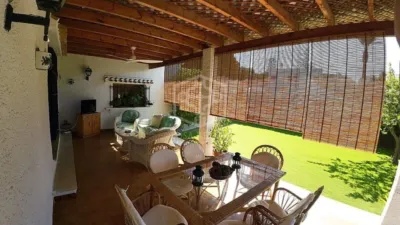 Pis – Orihuela, Mil Palmeras - Més