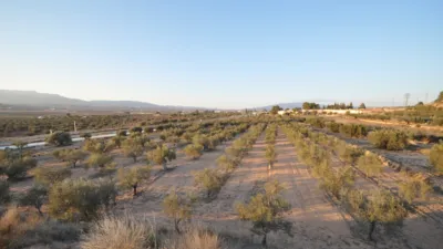 Terreno en venta en El Pinós - Pinoso - Vista 2