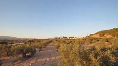 Terreno en venta en El Pinós - Pinoso - Vista 5