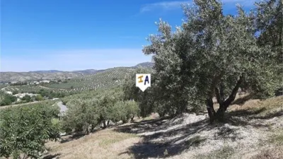 Rustic Finca in Frailes photo 4