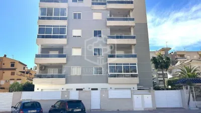 Apartment in La Mata photo 30