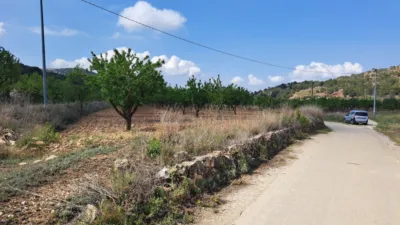 Terreno en venta en El Pinós - Pinoso - Vista 2