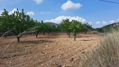 Terreno en venta en El Pinós - Pinoso - Vista 3