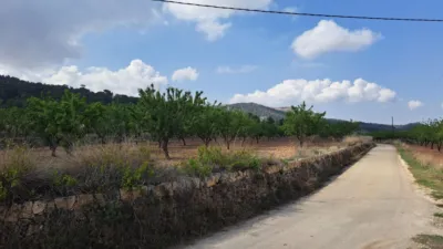 Terreno en venta en El Pinós - Pinoso - Vista 4