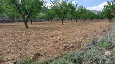 Terreno en venta en El Pinós - Pinoso - Vista 5