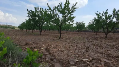 Terreno en venta en El Pinós - Pinoso - Más