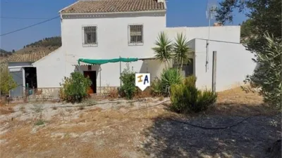 Rustic Finca in El Sabariego photo 2