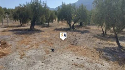 Rustic Finca in El Sabariego photo 4