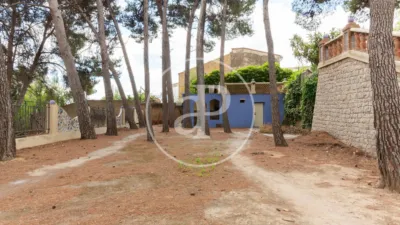 House in Buñol photo 53