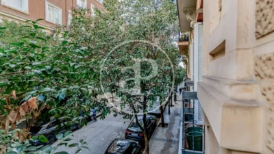 Apartment in Goya photo 39