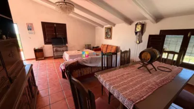 Rustic Finca in Albox photo 12
