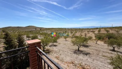 Rustic Finca in Albox photo 16